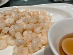 新雅滑虾仁-新雅粤菜馆(南京东路店)