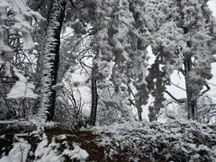 -武当山风景区