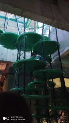 -恐龙探索乐园(磁器口店)