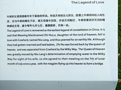 -西安曲江寒窑遗址公园