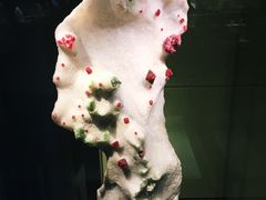 -中华赏石园