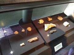 -北京周口店北京人遗址博物馆