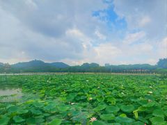 -顺峰山公园