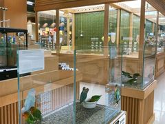 -帕帕拉兹宠物(亚洲旗舰店)