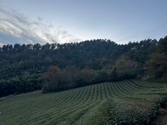 -敬亭山风景名胜区