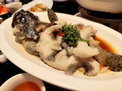 青花椒蒸龙胆鱼-闽和南(深圳万象城店)