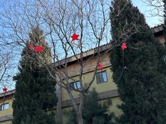 -南宫五洲植物乐园