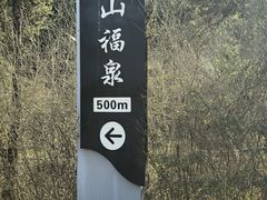 -中原大佛景区