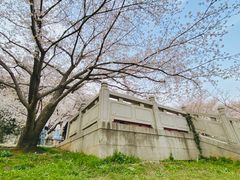 -苏州上方山国家森林公园