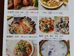 -煲来饱去冷水鱼