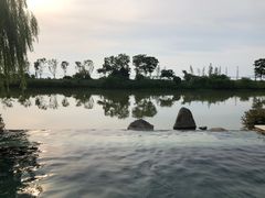 -苏州湾·王焰温泉