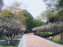 -玉树公园