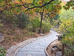 -北京西山国家森林公园