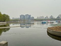-莲花池公园