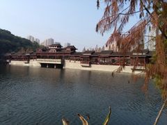 -重庆彩云湖湿地公园