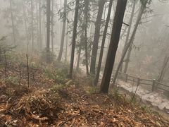 -冶父山国家森林公园