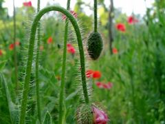 外景-河南省黄河迎宾馆
