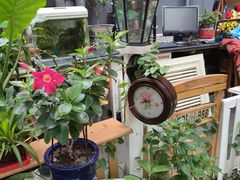 -金宝生活市场(东五环店)