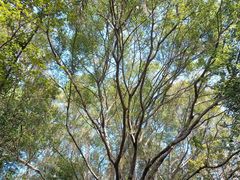 -南国桃园旅游度假区