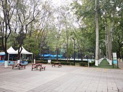 -朝阳公园游乐园