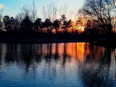 -享口福饺子馆(民旺园店)