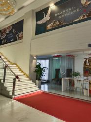 -石家庄苏亚美联臣医疗美容医院