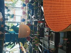 -印象芽庄越式餐厅(东兴店)