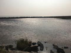 -南汇嘴观海公园