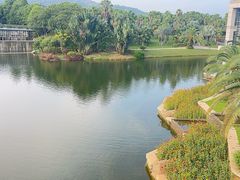 -厦门国家会计学院