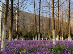 -河海大学(江宁校区)