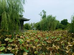 -韩湘水博园
