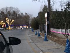 -枫花园汽车电影院(朝阳公园店)