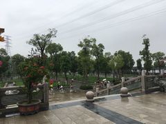 -仙岳公园