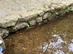 -宁波五龙潭景区