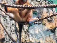 -石排湾郊野公园
