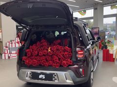 -上海浦东smart汽车全功能店(金桥店)