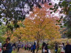 -香山公园-东宫门售票处