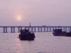 -宝安西湾红树林湿地公园