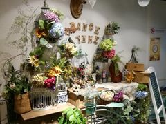 -共舞时光猫咖·狗咖(新街口店)