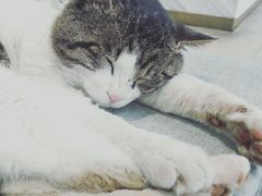 -UNI UNI(环亚凯瑟琳店)