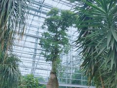 -南山植物园