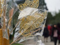 -秀丽东方