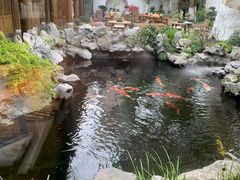 -鲤院·新中式美学·庭院餐厅(夫子庙店)
