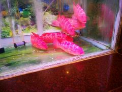 -Century Seafood Restaurant Manila