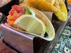 -Famous肥猫墨西哥音乐餐吧(五棵松华熙LIVE店)