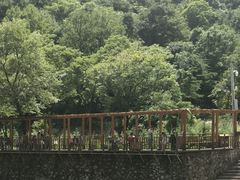 -青峰峡国家森林公园