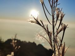 -九峰山