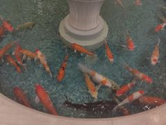 -北京新世纪饭店(动物园地铁站店)