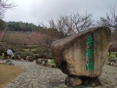 -香雪海