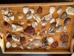 -那香海钻石沙滩浴场